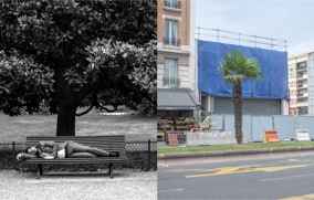 Parc Monceau - Palmier à Saint Ouen
