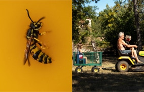 guêpe - mon père avec Simon et Georges sur le tracteur