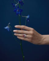 Stop motion Ikebana