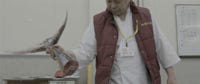 Chef tada at the Numazu Market with a Tuna Tail